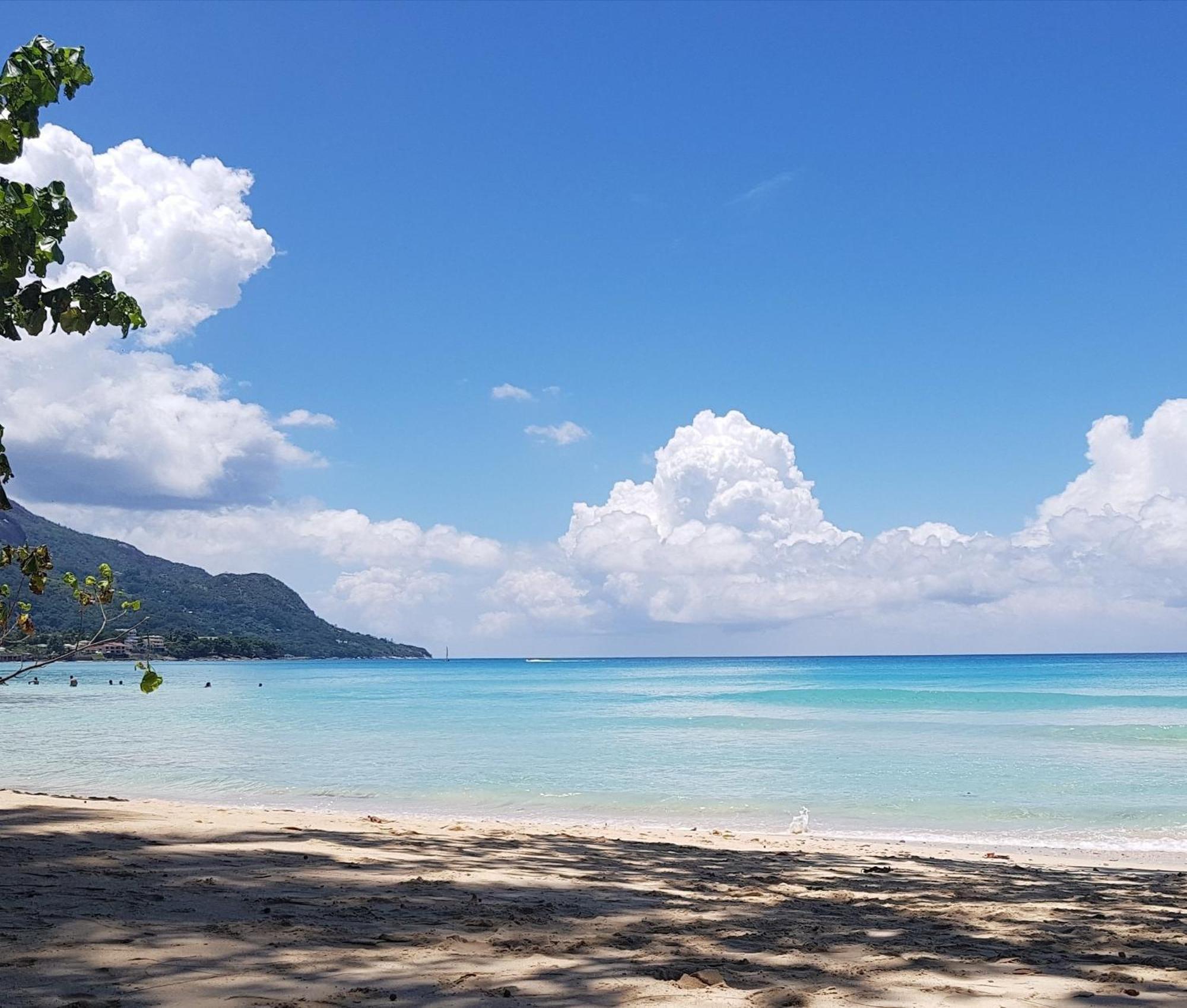 Alpha & Omega Apartment Seychelles Beau Vallon  Eksteriør bilde